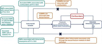 Early sexual activity lowers the incidence of intracranial aneurysm: a Mendelian randomization investigation